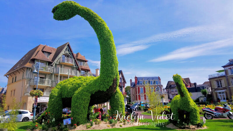 Dinosaur hedge
