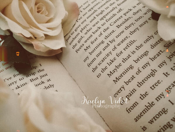 Books and roses. 2