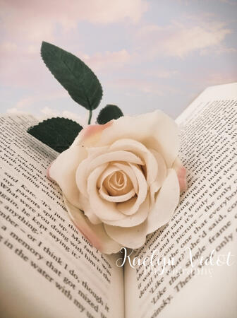 Books and roses. 4