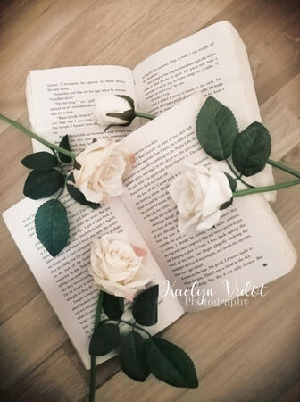 Books and roses.1
