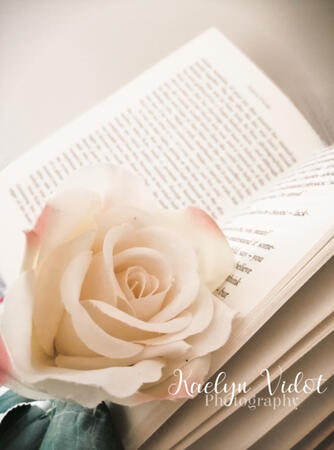 Books and roses. 3